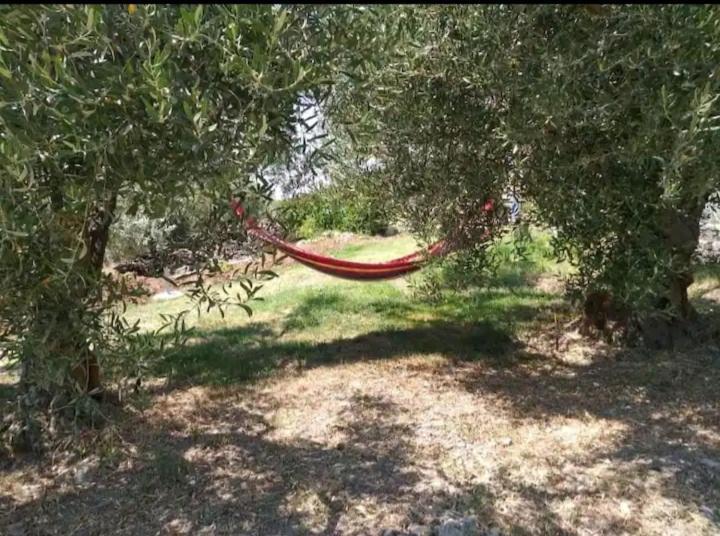 Panorama Olive Garden Apartment Makri Bagian luar foto
